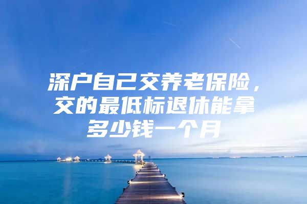 深户自己交养老保险，交的最低标退休能拿多少钱一个月