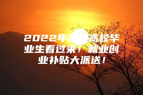 2022年应届高校毕业生看过来！就业创业补贴大派送！