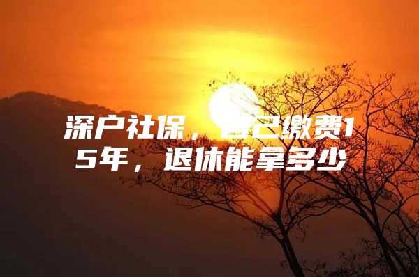 深户社保，自己缴费15年，退休能拿多少