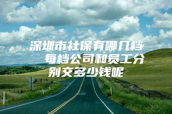 深圳市社保有哪几档  每档公司和员工分别交多少钱呢