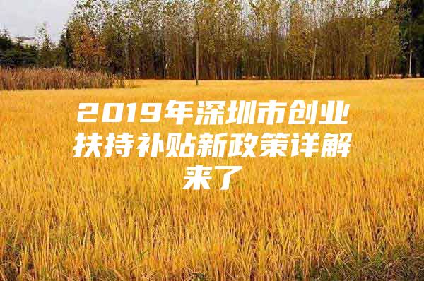 2019年深圳市创业扶持补贴新政策详解来了