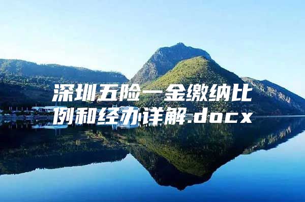 深圳五险一金缴纳比例和经办详解.docx