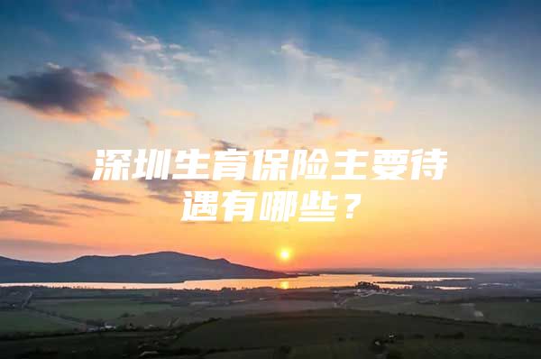 深圳生育保险主要待遇有哪些？