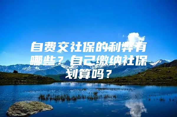 自费交社保的利弊有哪些？自己缴纳社保划算吗？