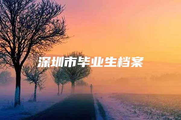 深圳市毕业生档案