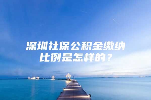 深圳社保公积金缴纳比例是怎样的？