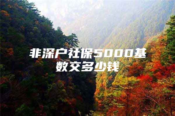 非深户社保5000基数交多少钱