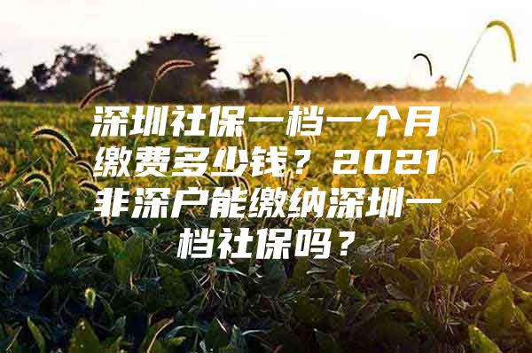 深圳社保一档一个月缴费多少钱？2021非深户能缴纳深圳一档社保吗？