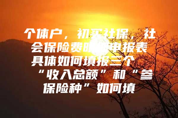 个体户，初买社保，社会保险费明细申报表具体如何填报三个“收入总额”和“参保险种”如何填