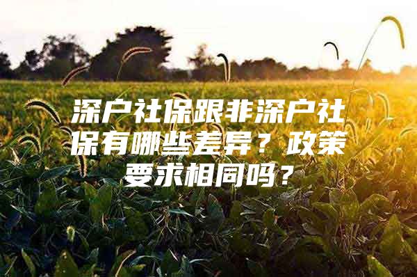 深户社保跟非深户社保有哪些差异？政策要求相同吗？