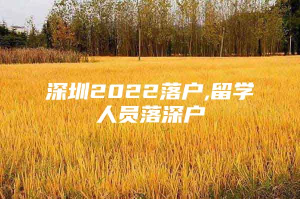 深圳2022落户,留学人员落深户