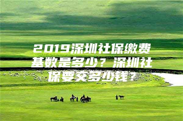 2019深圳社保缴费基数是多少？深圳社保要交多少钱？