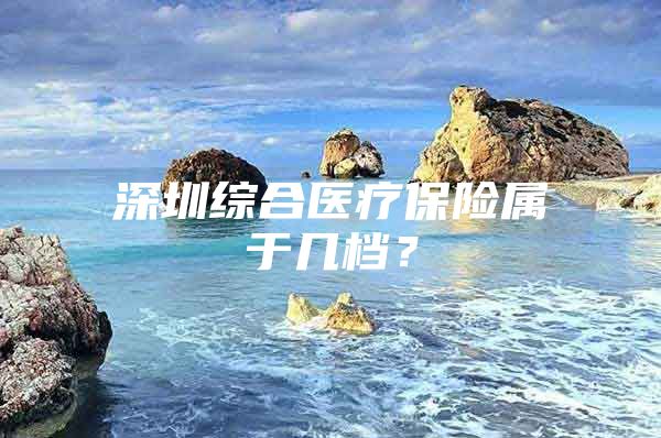 深圳综合医疗保险属于几档？