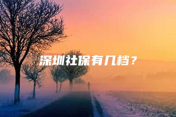 深圳社保有几档？