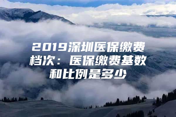 2019深圳医保缴费档次：医保缴费基数和比例是多少