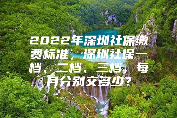 2022年深圳社保缴费标准，深圳社保一档、二档、三档，每月分别交多少？