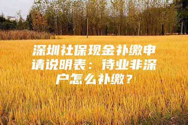 深圳社保现金补缴申请说明表：待业非深户怎么补缴？