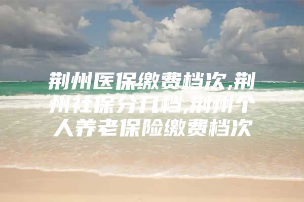 荆州医保缴费档次,荆州社保分几档,荆州个人养老保险缴费档次