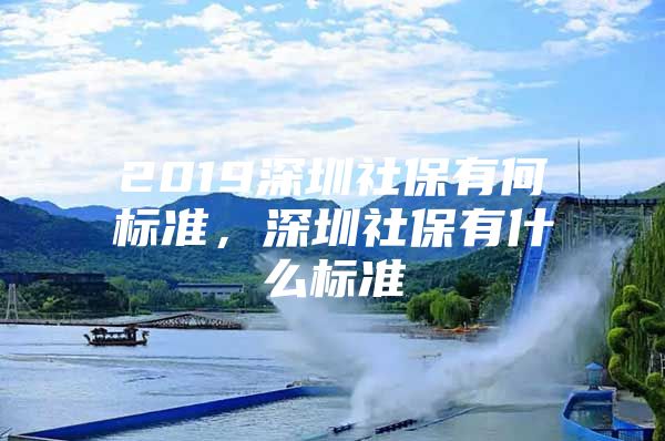 2019深圳社保有何标准，深圳社保有什么标准