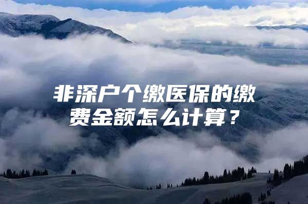 非深户个缴医保的缴费金额怎么计算？