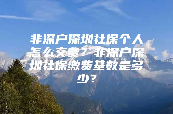 非深户深圳社保个人怎么交费？非深户深圳社保缴费基数是多少？