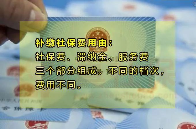 深圳入学申请资格报名，补缴社保能上公立学校吗