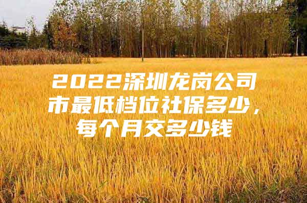 2022深圳龙岗公司市最低档位社保多少，每个月交多少钱