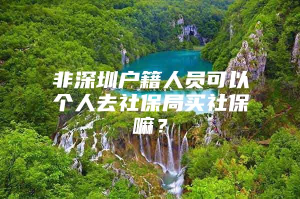 非深圳户籍人员可以个人去社保局买社保嘛？