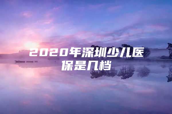 2020年深圳少儿医保是几档