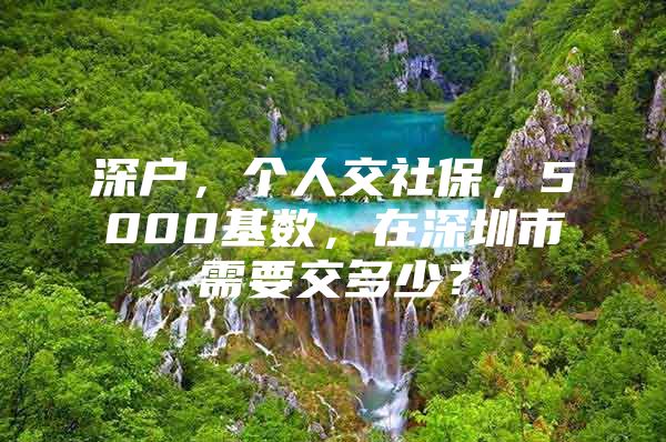 深户，个人交社保，5000基数，在深圳市需要交多少？