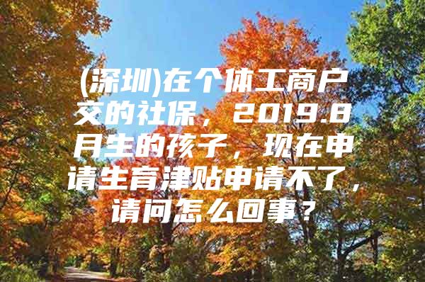 (深圳)在个体工商户交的社保，2019.8月生的孩子，现在申请生育津贴申请不了，请问怎么回事？