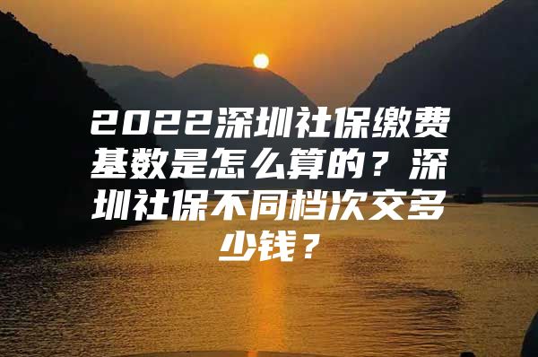 2022深圳社保缴费基数是怎么算的？深圳社保不同档次交多少钱？