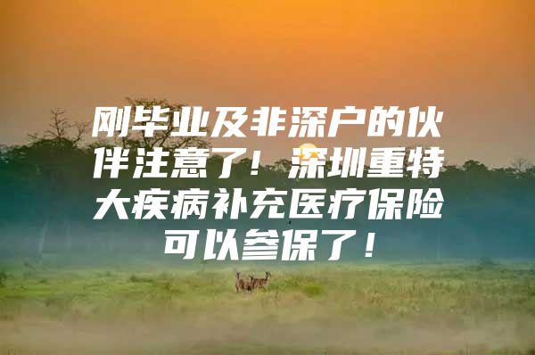 刚毕业及非深户的伙伴注意了! 深圳重特大疾病补充医疗保险可以参保了！