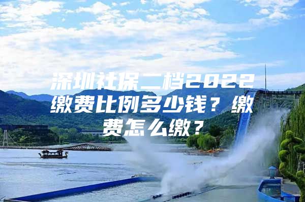 深圳社保二档2022缴费比例多少钱？缴费怎么缴？