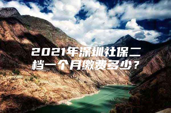 2021年深圳社保二档一个月缴费多少？