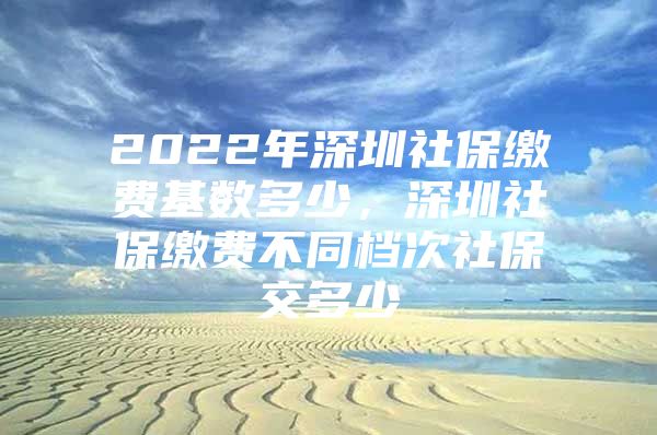 2022年深圳社保缴费基数多少，深圳社保缴费不同档次社保交多少