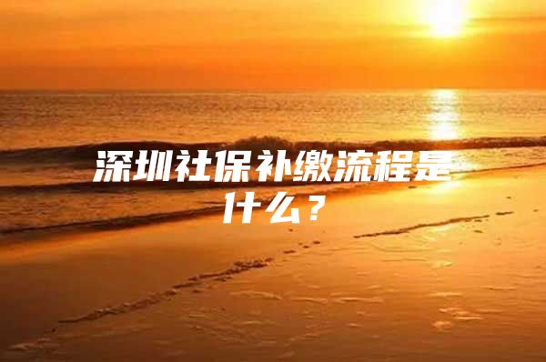 深圳社保补缴流程是什么？