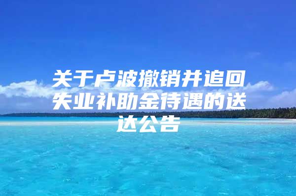 关于卢波撤销并追回失业补助金待遇的送达公告