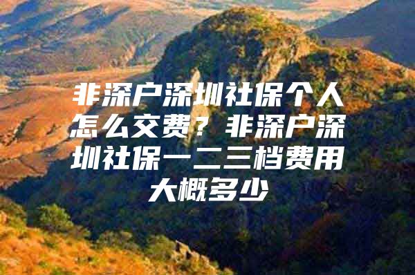 非深户深圳社保个人怎么交费？非深户深圳社保一二三档费用大概多少