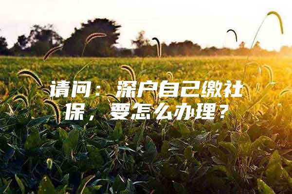 请问：深户自己缴社保，要怎么办理？