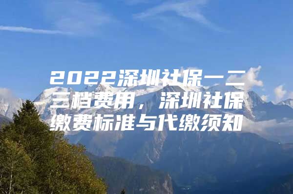 2022深圳社保一二三档费用，深圳社保缴费标准与代缴须知