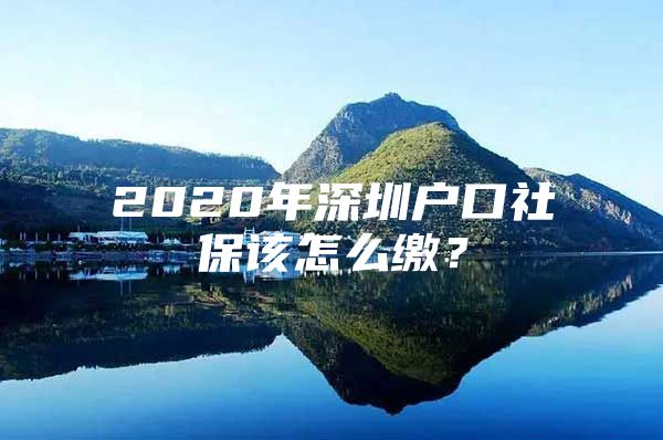 2020年深圳户口社保该怎么缴？