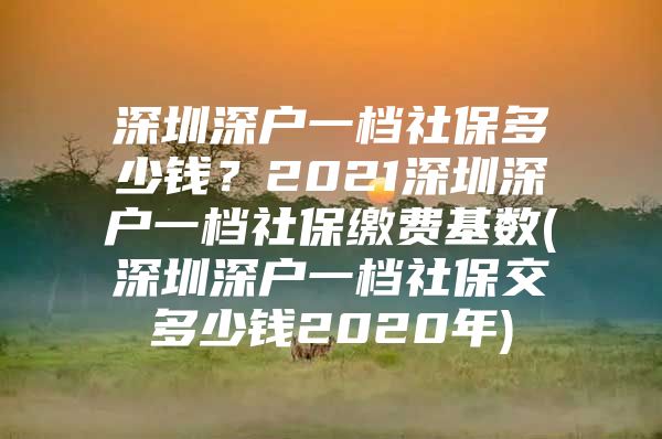 深圳深户一档社保多少钱？2021深圳深户一档社保缴费基数(深圳深户一档社保交多少钱2020年)