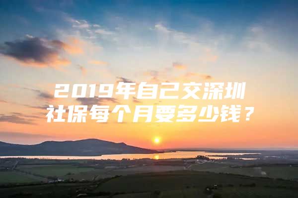 2019年自己交深圳社保每个月要多少钱？