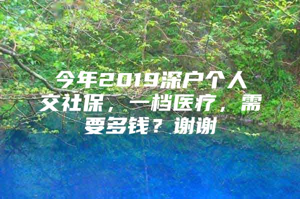 今年2019深户个人交社保，一档医疗，需要多钱？谢谢