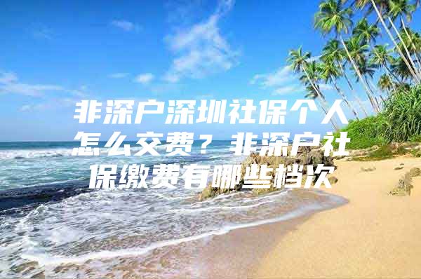 非深户深圳社保个人怎么交费？非深户社保缴费有哪些档次