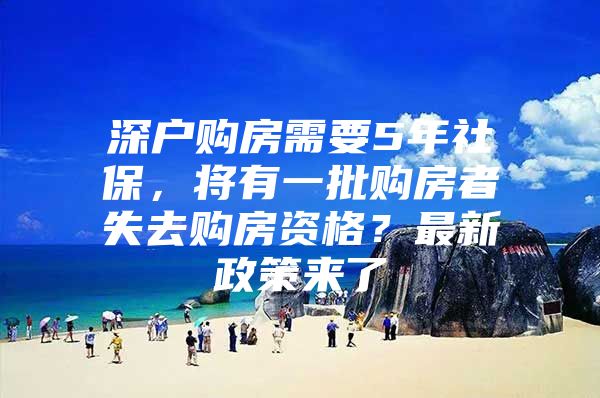 深户购房需要5年社保，将有一批购房者失去购房资格？最新政策来了