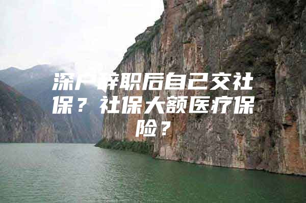 深户辞职后自己交社保？社保大额医疗保险？