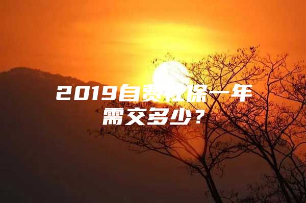 2019自费社保一年需交多少？