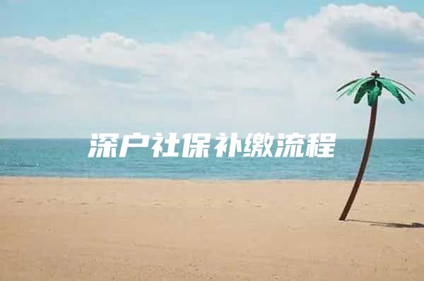 深户社保补缴流程